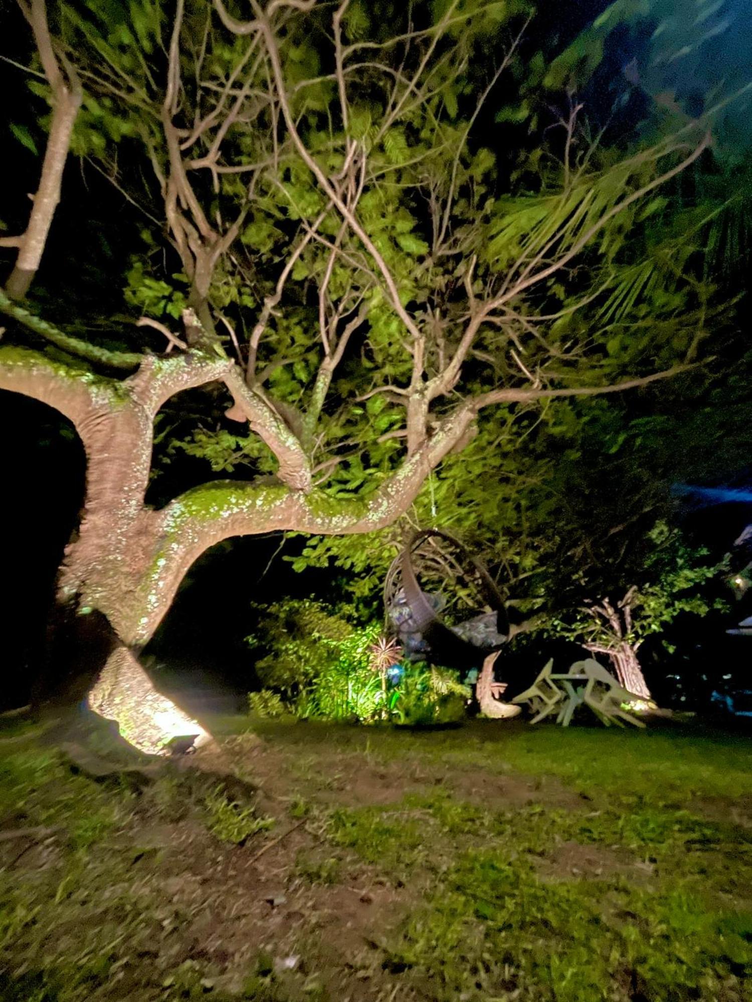 Cond Solar Lagoa Dos Passaros プライア・ド・フォルテ エクステリア 写真